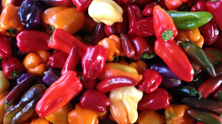 A photo of a smattering of sweet bell peppers.