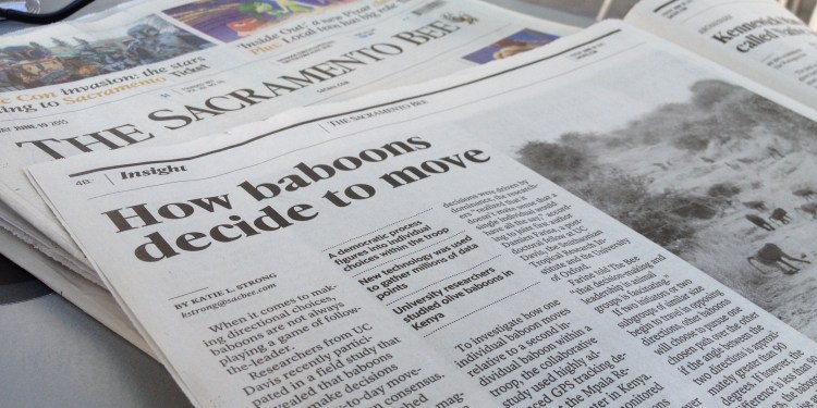 Katie Strong's first published story, 