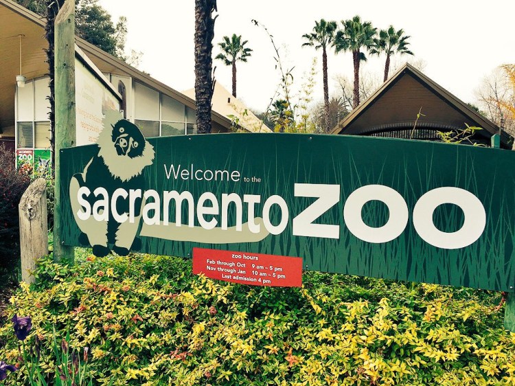 Sacramento Zoo.JPG