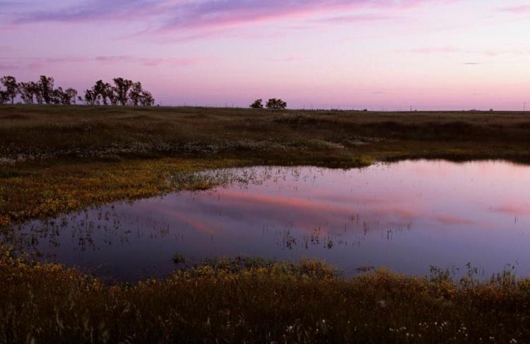 558897_352353914810740_542447864_n