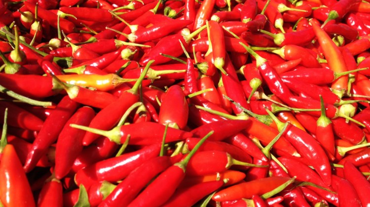 A photo of a bed of red chili peppers.
